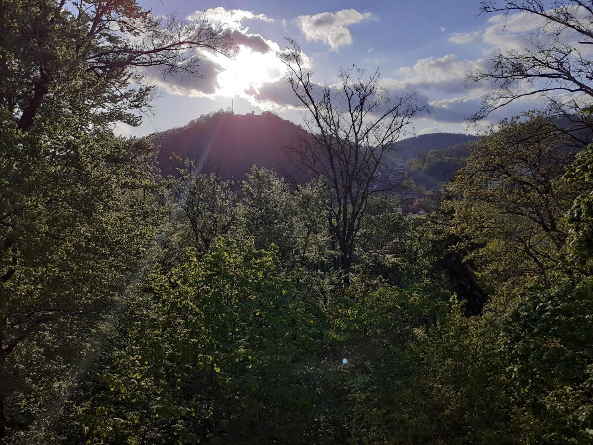 Pension Villa Pangea Bad Lauterberg Exteriér fotografie